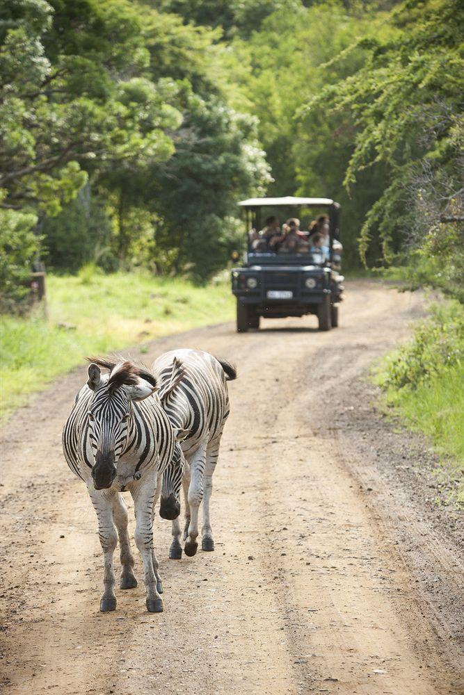 Zululand Safari Lodge Глуглуве Екстер'єр фото
